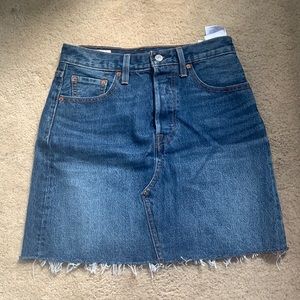 Dark Wash Levi Jean Mini Skirt
